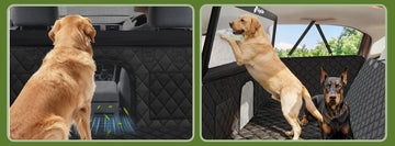 Do Dog Car Seats Really Keep Dogs Safe? (Honestly… Not Always)