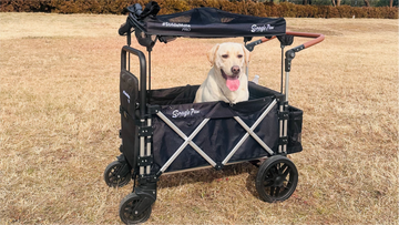 3 Wheel vs 4 Wheel Dog Stroller: Which One Is Safer and More Stable?