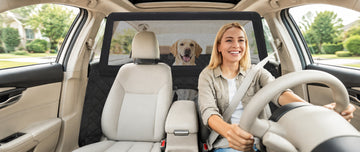 🚗 Road Trip With a Dog: The Ultimate Summer Safety Guide