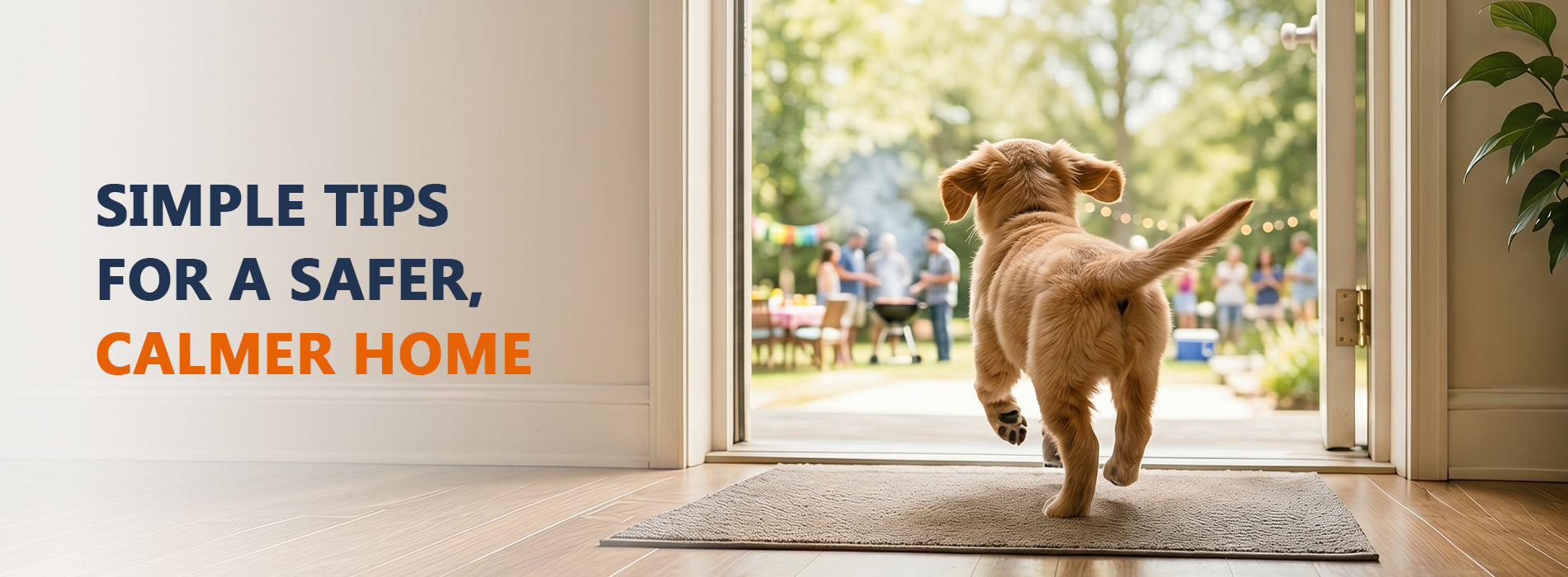 Why Dogs Rush Out the Door More in Summer (And How to Stop It) 🚪🐶 ...