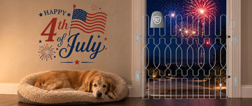 🎆 July 4th Dog Safety: Creating a Safe Space for Dogs During Independence Day Fireworks