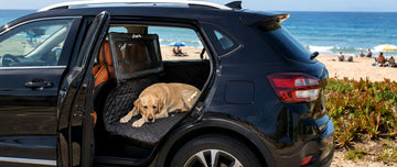 🚗🏖️ The Ultimate SUV Dog-Proofing Checklist: How to Prep Your Car for Beach Days & Summer Road Trips