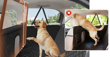 🐶 How to Protect Your Car Seats from Dogs (Without the Mess & Damage)