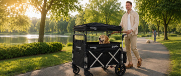 ☀️🐾 Summer Heatwave Survival: How to Keep Your Senior Dog Active (Without Burning Their Paws)