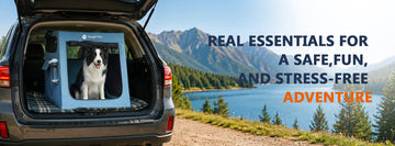🚗🐶 7 Things I Never Forget on a Summer Road Trip With My Dog