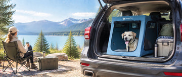 Dog Travel Crate for Car & SUV: How to Choose the Right One