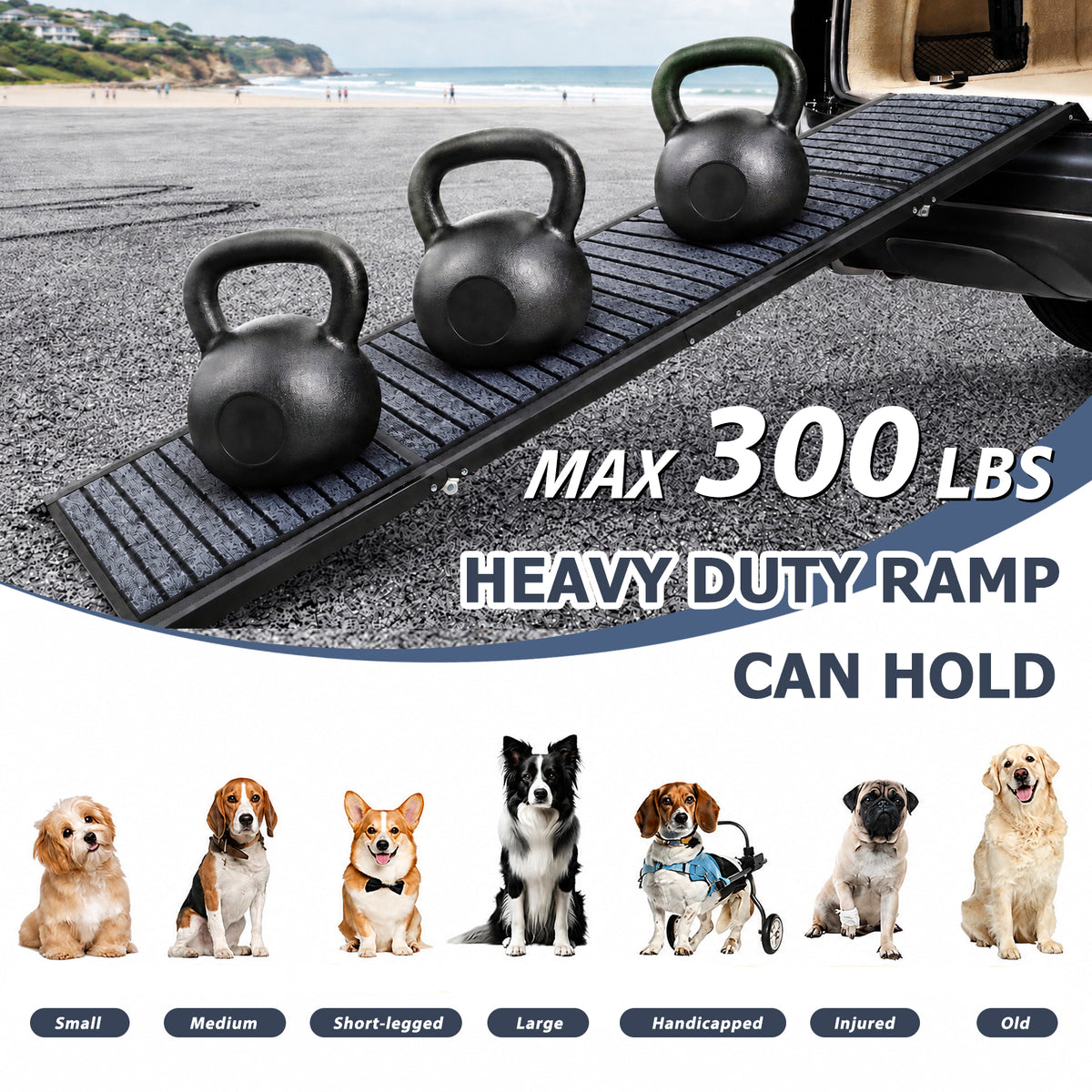 Heavy-duty dog ramp with 300 lb weight capacity designed to support small, medium, large and mobility-limited dogs.