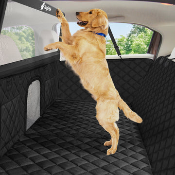 Large dog using a Snagle Paw hammock-style dog car seat cover for the back seat with quilted side panels and breathable mesh window.