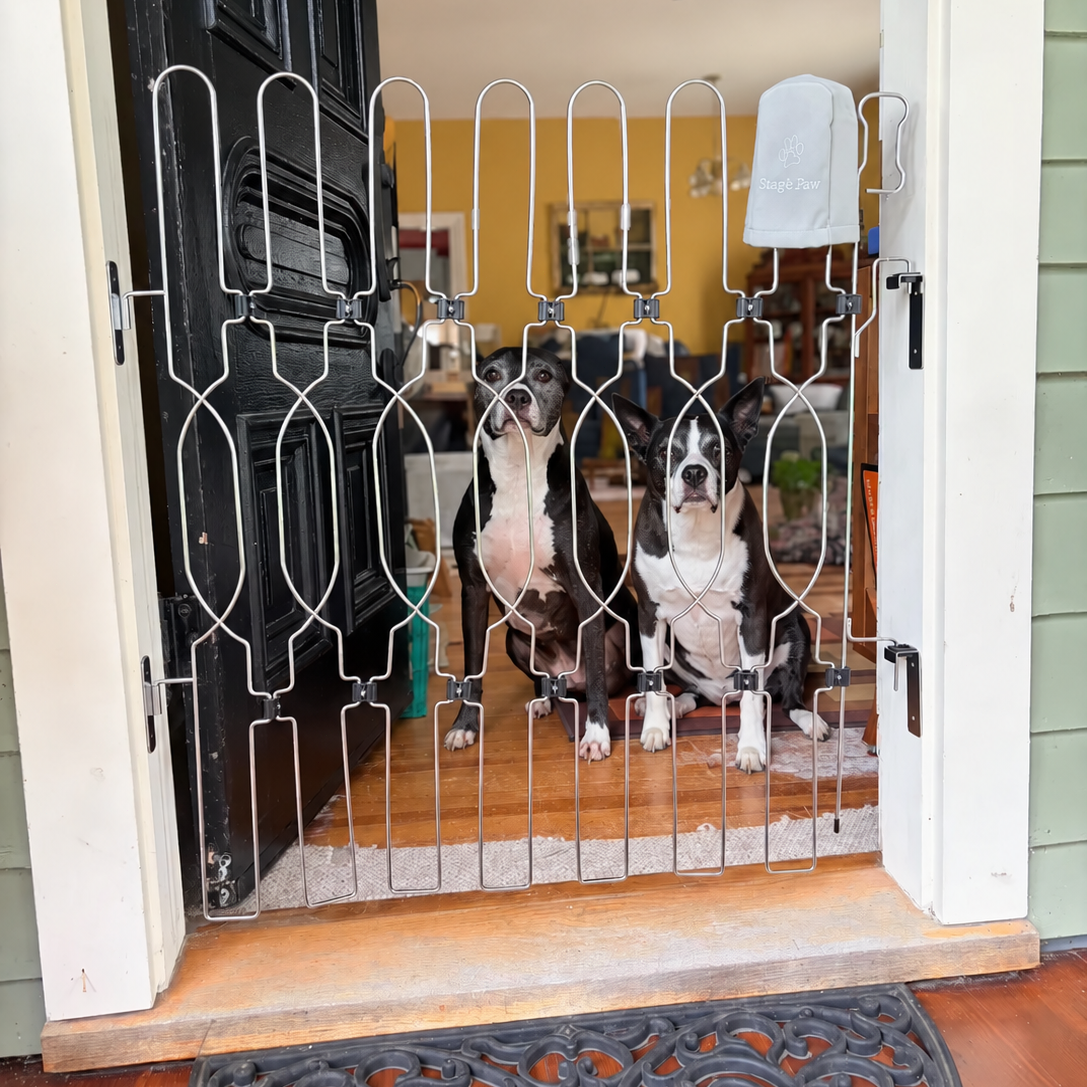 Two dogs behind a Snagle Paw metal dog gate installed at an open front doorway for indoor pet safety and door-dashing prevention.