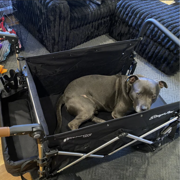 Big Enough for Him. Comfortable Enough to Rest.Built for Big Dogs Who Still Love to Go.