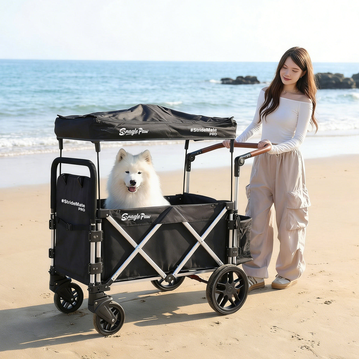 White medium-to-large dog riding in a Snagle Paw StrideMate PRO dog stroller while a woman pushes it on the beach.