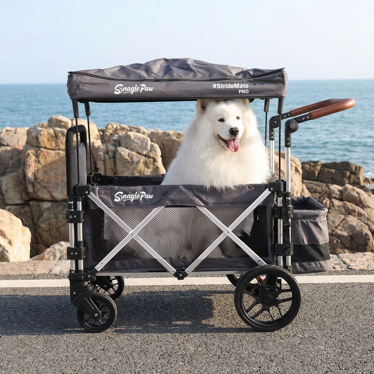 Large white dog sitting in a Snagle Paw StrideMate PRO stroller during an outdoor seaside walk.