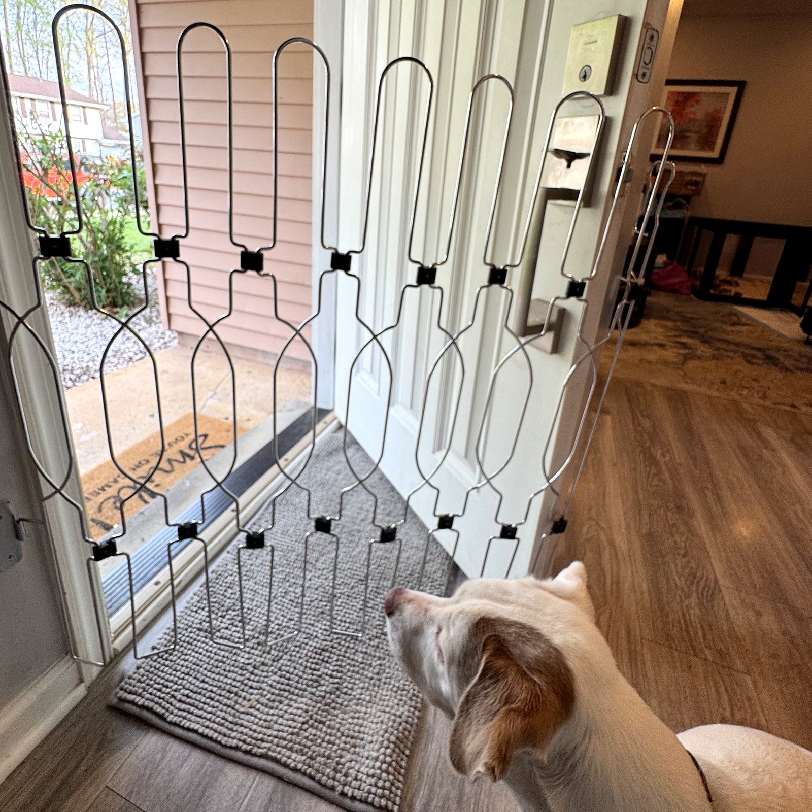 Heavy-duty metal dog gate with door, designed for secure front door and indoor spaces, keeping pets safely contained at home.