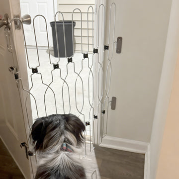 Dog standing behind a dog gate blocking a doorway