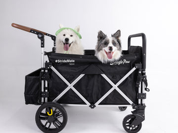 Our Dog Stroller Wagon comfortably fits two dogs, letting them enjoy every journey safely and happily. Perfect for senior or injured dogs who need extra care during outings.