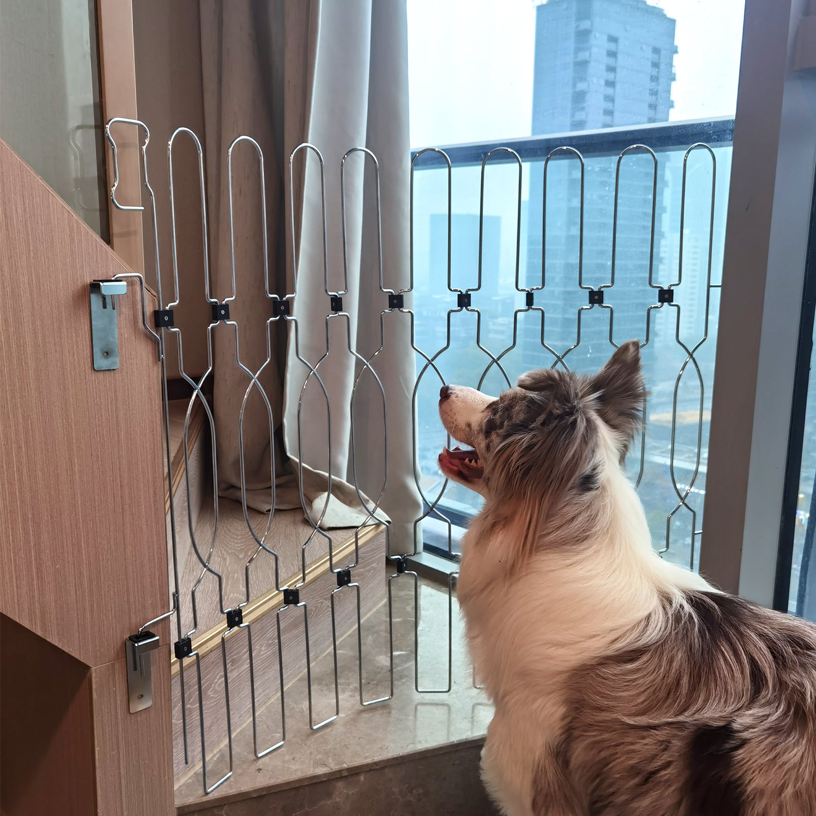 Durable dog door gate with strong metal construction, offering secure indoor separation and easy installation for daily home safety