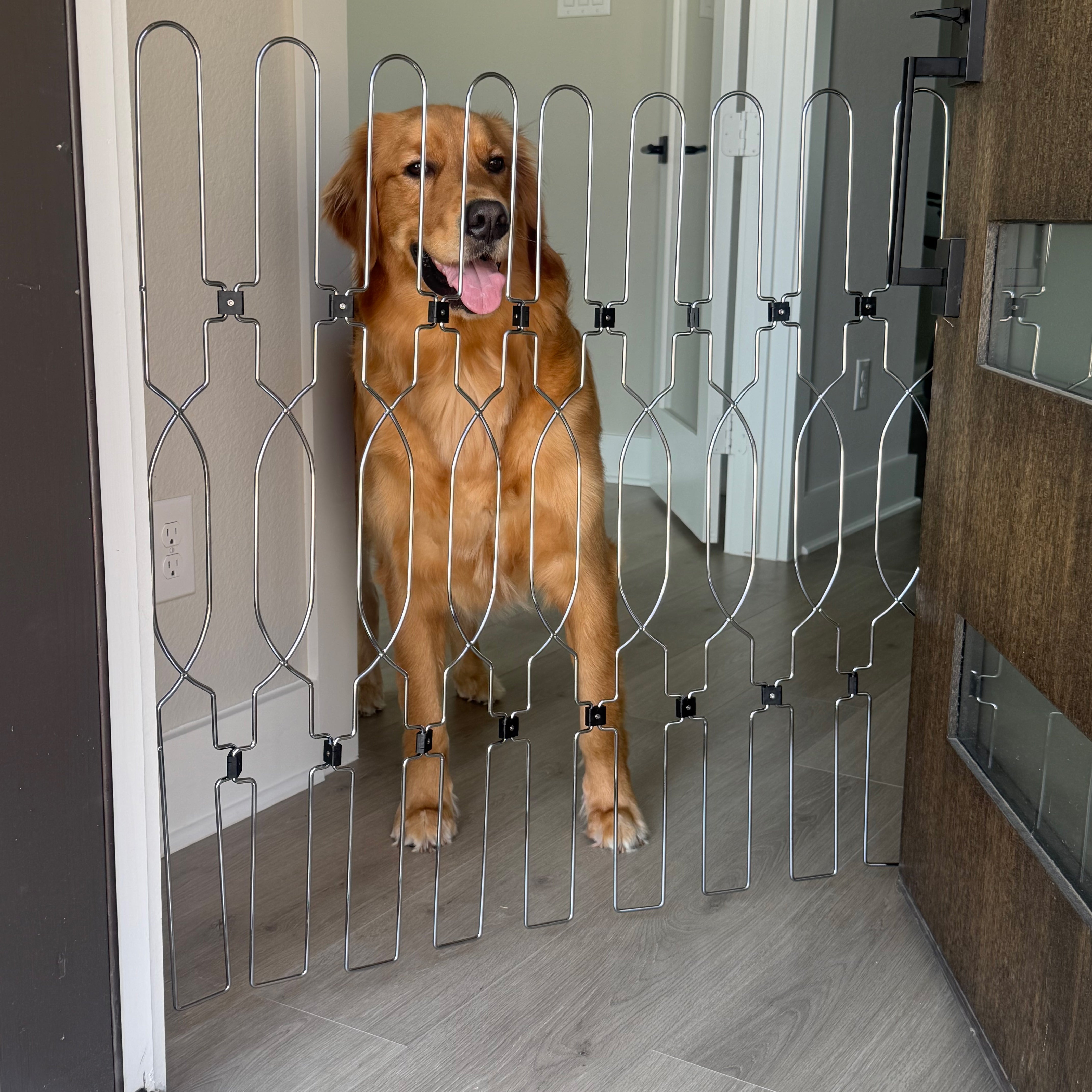 Strong metal dog gate designed for front door areas, providing a safe indoor barrier for pets while allowing easy walk-through access.