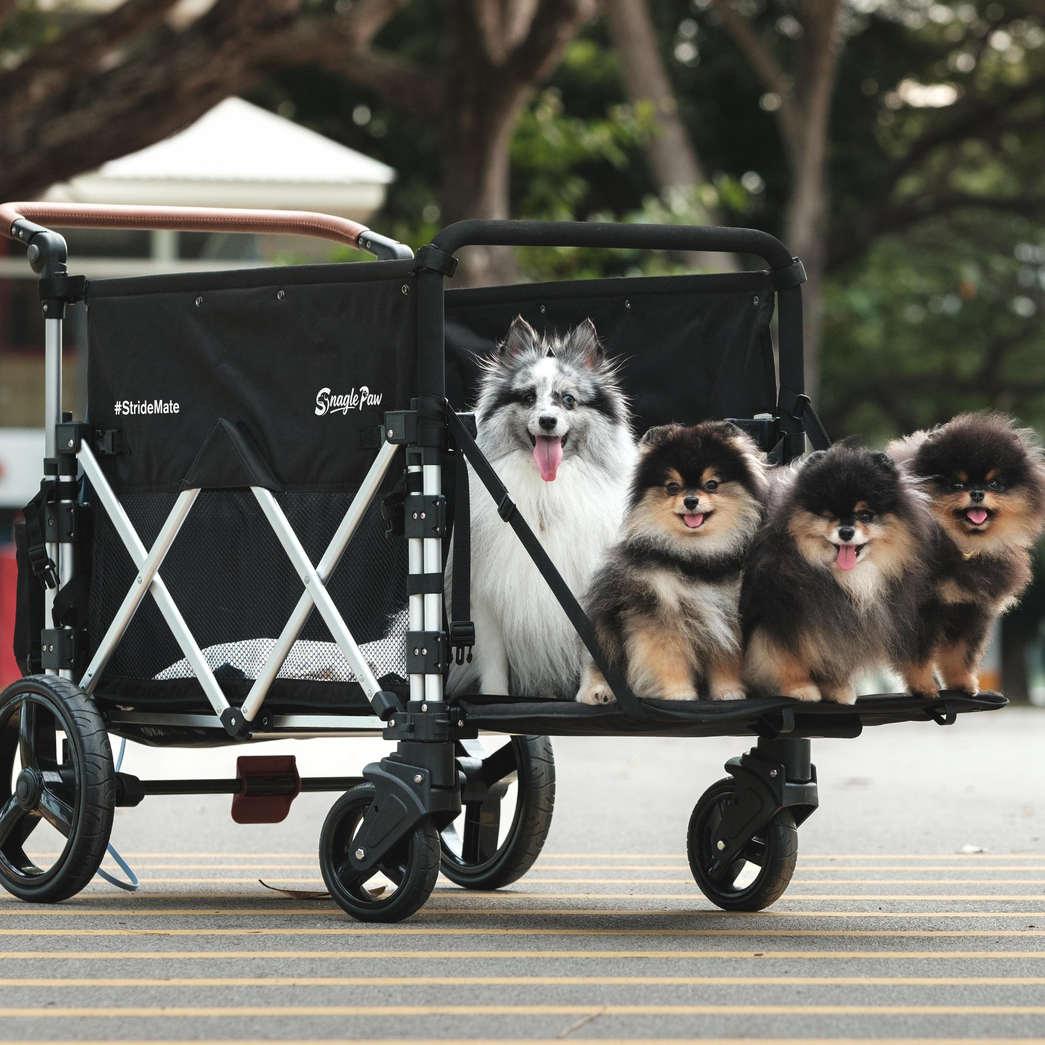  Dog Stroller Wagon spacious enough to fit four small dogs with ease.