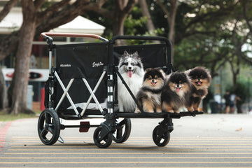  Dog Stroller Wagon spacious enough to fit four small dogs with ease.