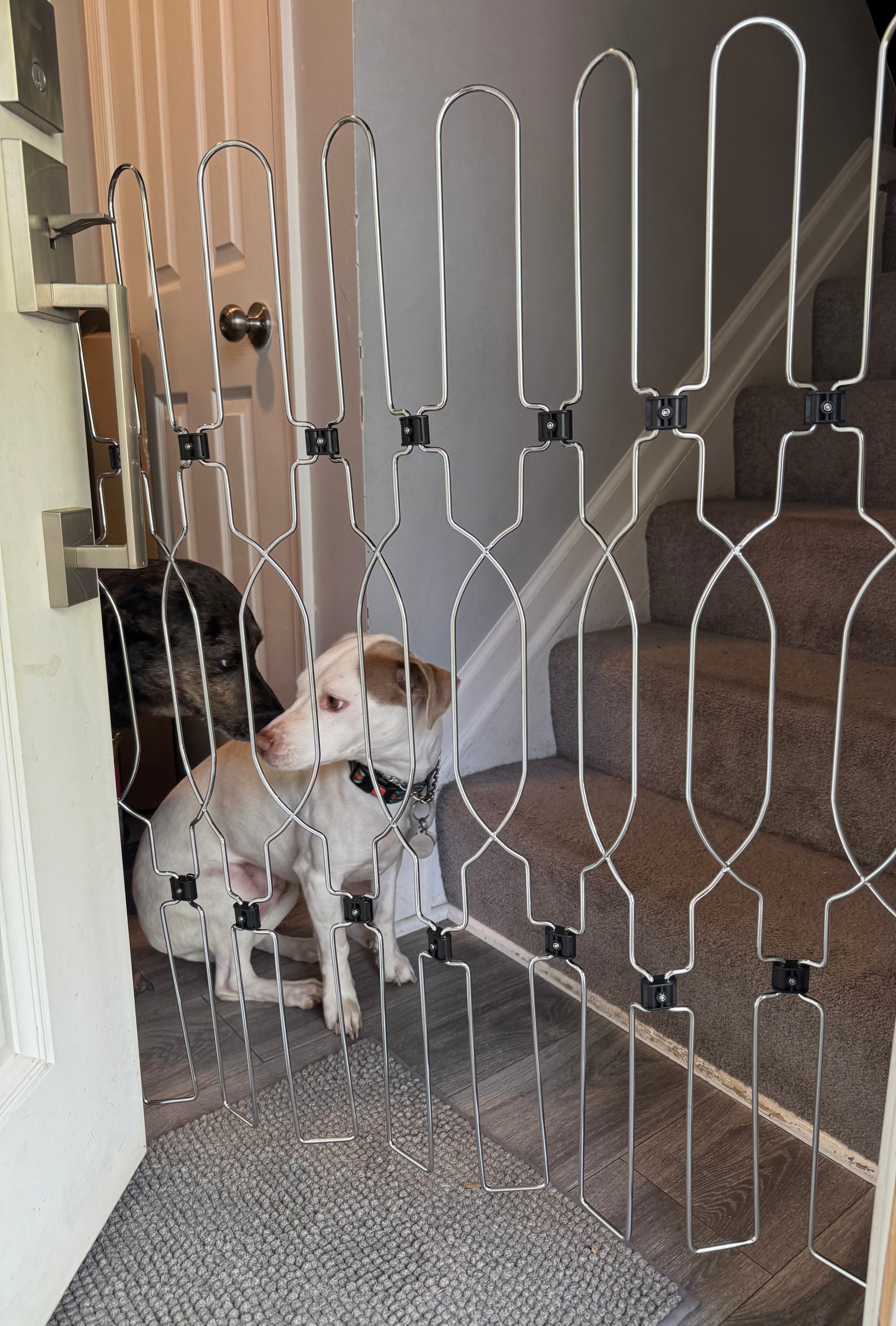 Extra tall metal door gate designed for dogs, offering a secure and adjustable indoor barrier for doorways, stairs, and everyday home safety.