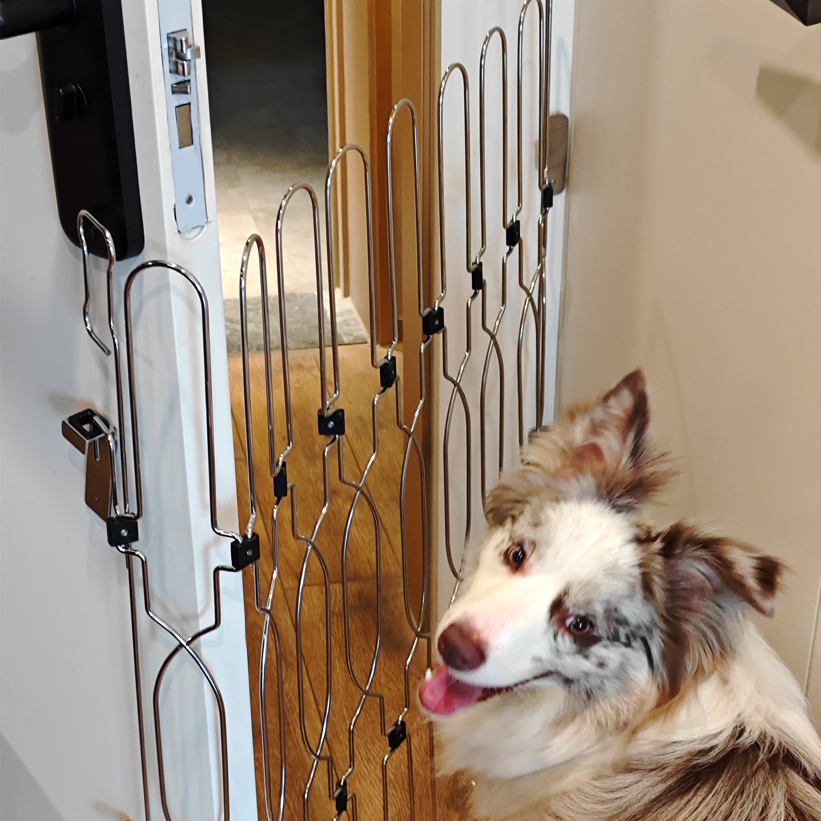 Secure front door pet gate built with durable metal frame to keep dogs safely contained while maintaining easy home access