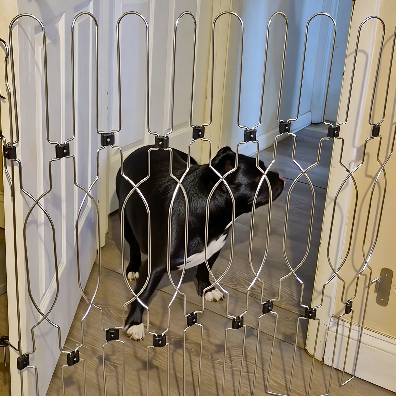 Indoor dog gate creating a safe boundary inside the home