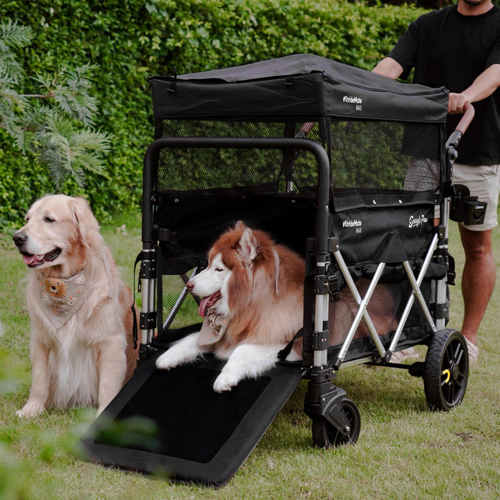 Snaglepaw Coupons and Promo Code