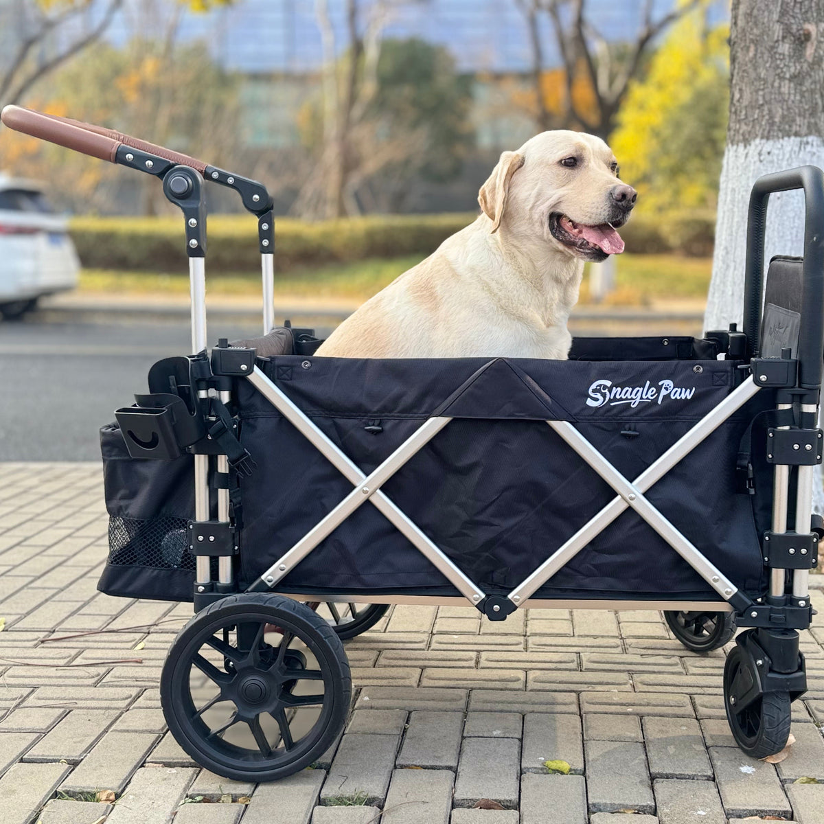 Yellow Labrador Retriever sitting comfortably inside a Snagle Paw StrideMate PRO large dog stroller during an outdoor walk