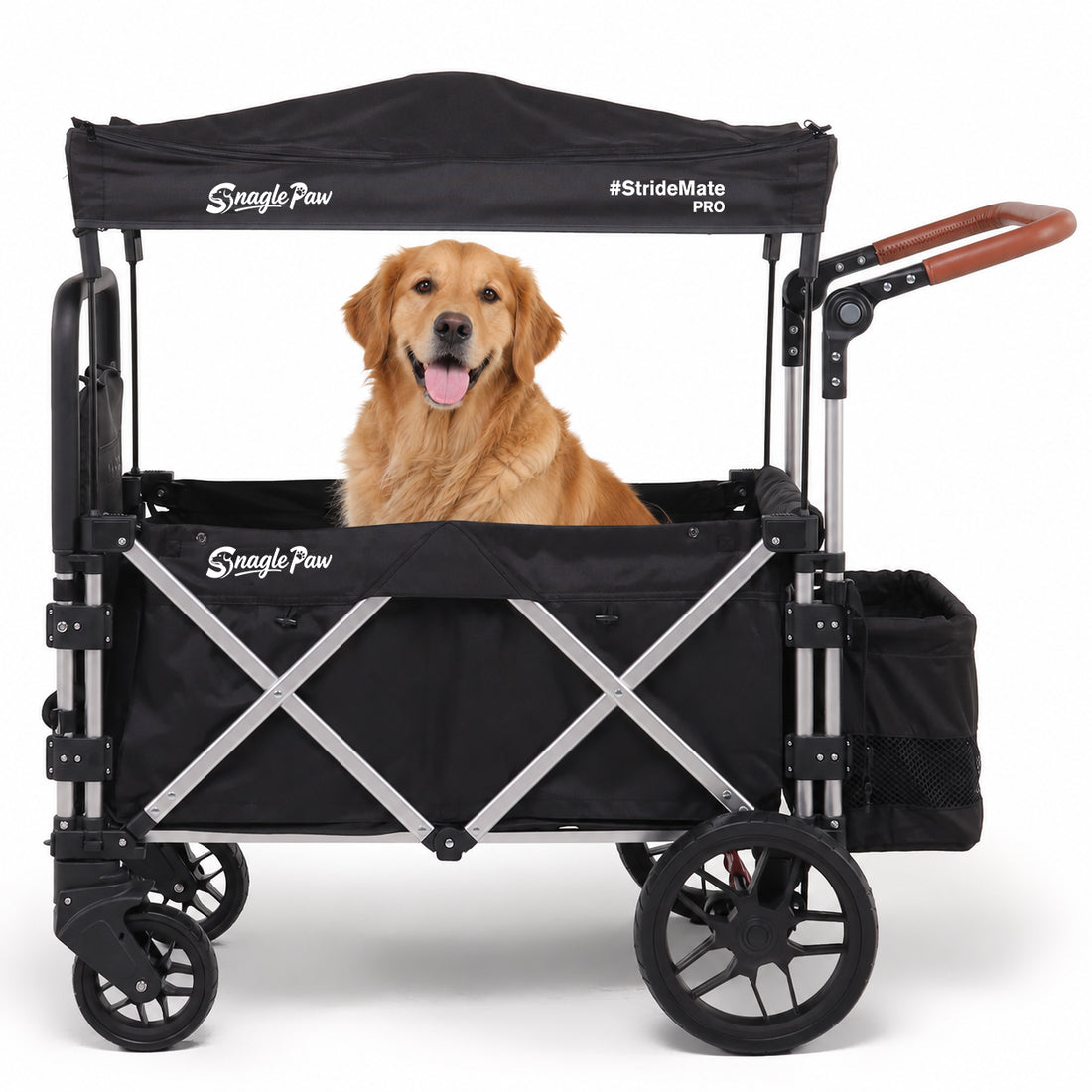 Golden Retriever sitting inside a Snagle Paw StrideMate PRO large dog stroller on a white background.