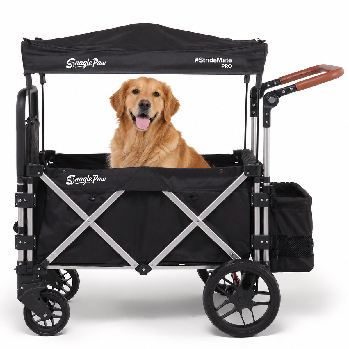 Golden Retriever sitting inside a Snagle Paw StrideMate PRO large dog stroller on a white background.