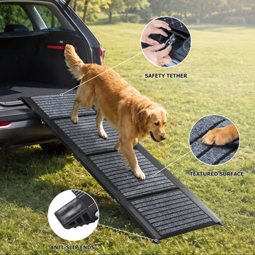 Non-slip dog ramp featuring textured surface, safety tether, and anti-slip ends for secure pet access