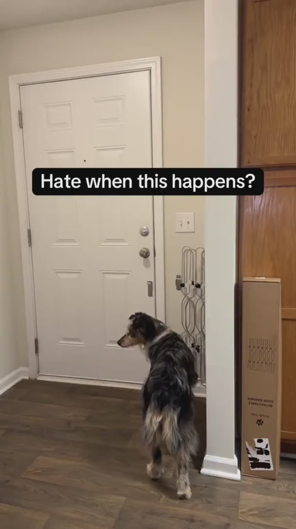 dog gate video