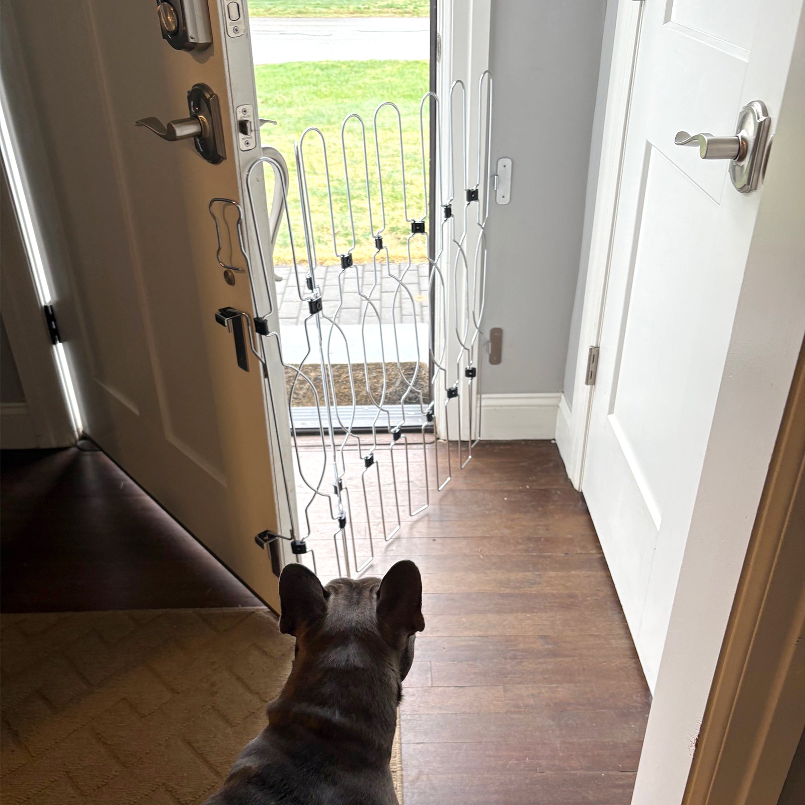 Heavy-duty retractable metal dog gate designed for easy adjustment and secure indoor safety. Ideal for stairs, doorways, and everyday home use.