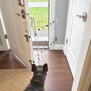 Heavy-duty retractable metal dog gate designed for easy adjustment and secure indoor safety. Ideal for stairs, doorways, and everyday home use.