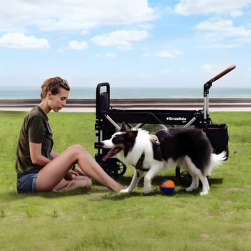 Owner and senior dog relaxing on a grassy field with a Snagle Paw stroller parked nearby, enjoying a cozy outdoor moment