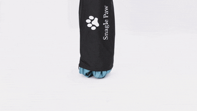 Animated demo showing how to quickly unfold and install the Snagle Paw dog crate for SUVs.