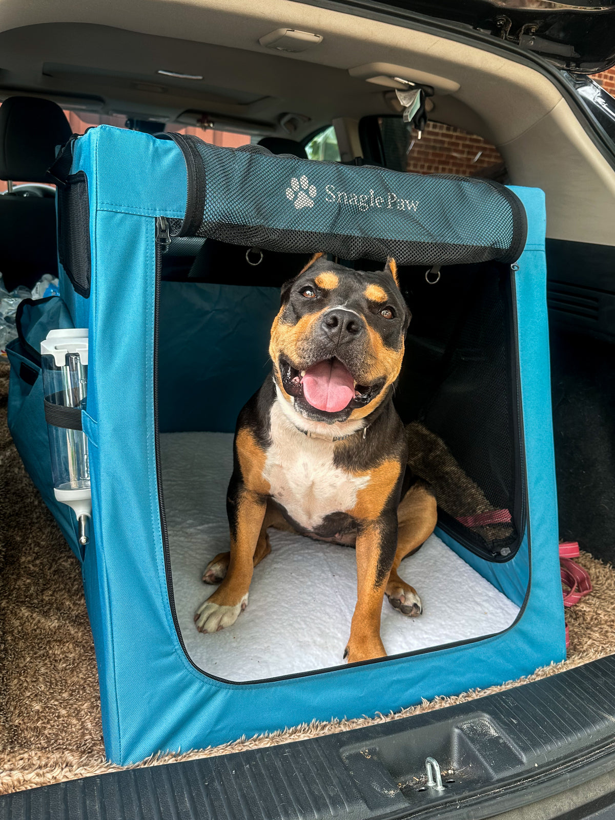 Snagle Paw travel dog crate installed in an SUV trunk with a large dog