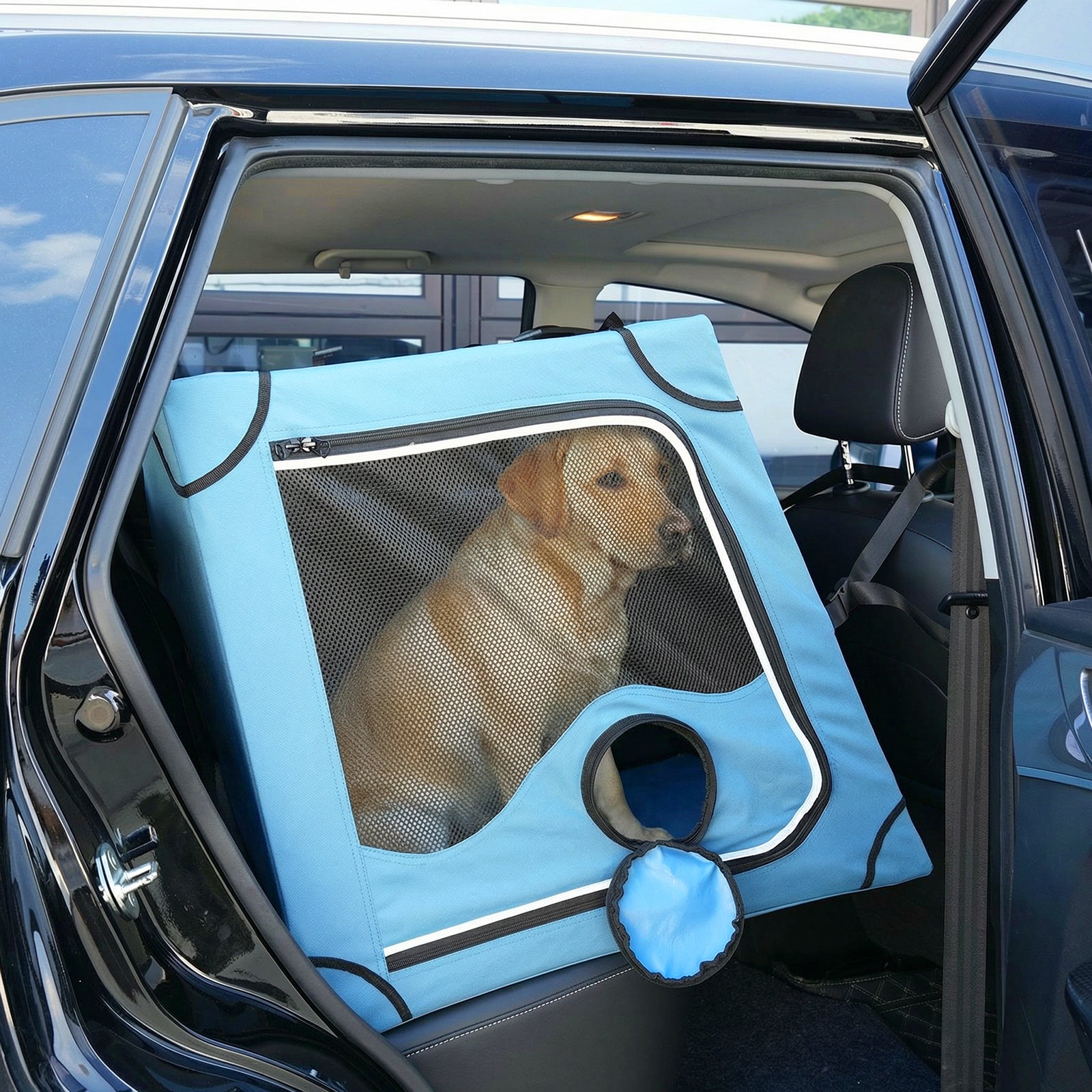 A Labrador sitting inside the Snagle Paw blue travel dog crate secured on a car's back seat for safe travel.