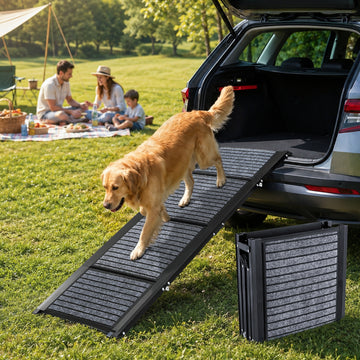 Golden Retriever walking down a portable folding dog ramp from an SUV during a family outdoor trip.