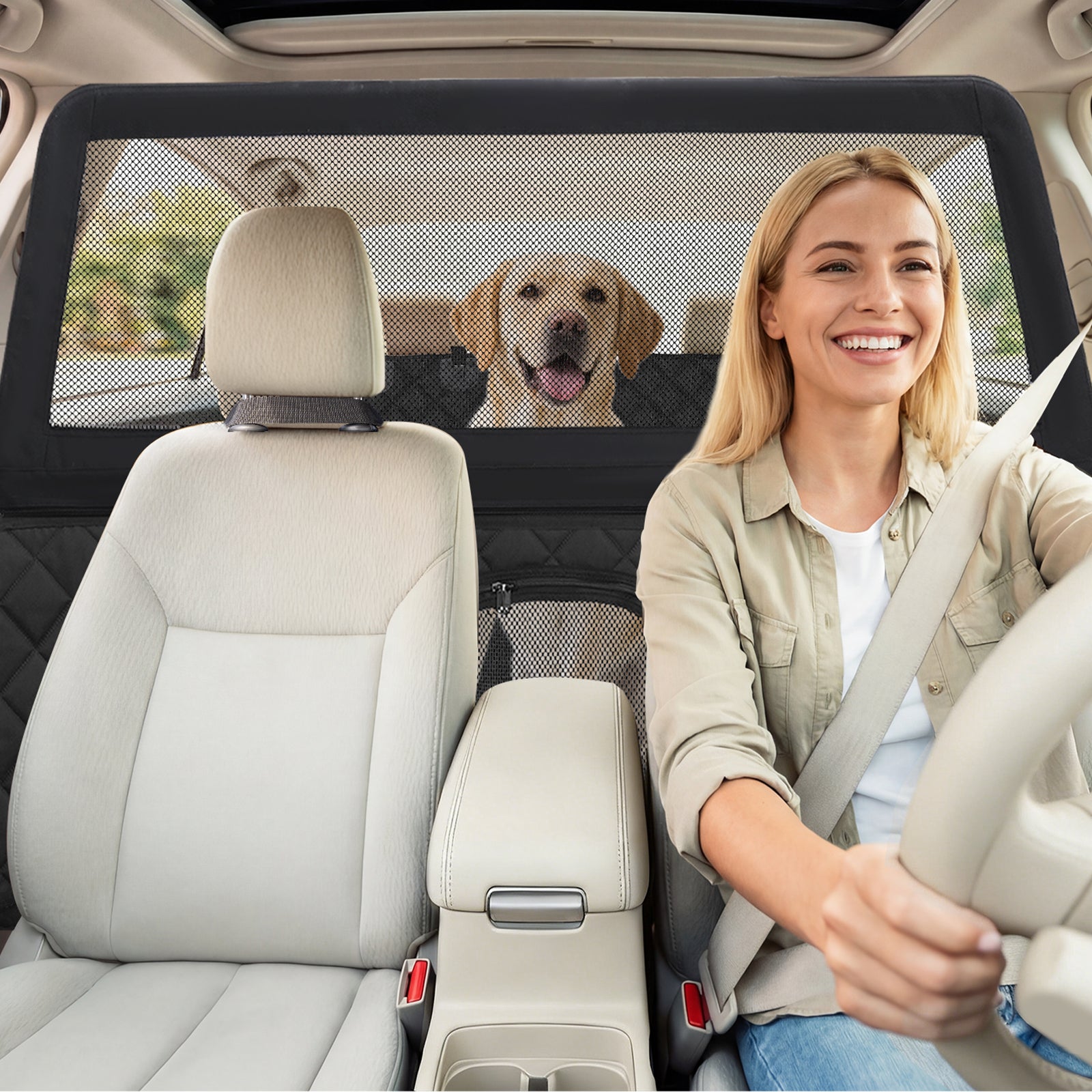 Dog secured in back seat with barrier allowing safe and distraction-free driving