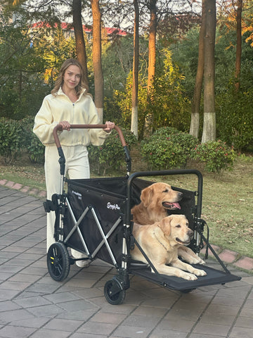 Two dogs are in a pet stroller wagon, being walked by their owner.