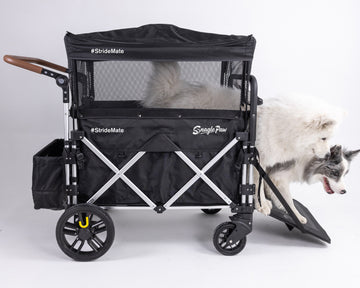 Snagle Paw Dog Stroller Wagon —
Spacious. Comfortable. Built for every journey.