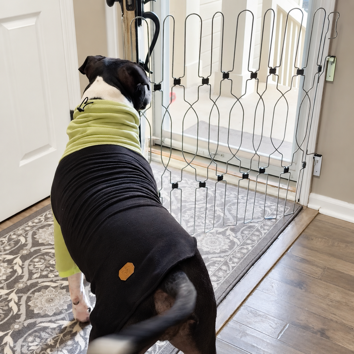 Adjustable Retractable Door Barrier for Front Door, Stairs, Hallways & Indoor Use