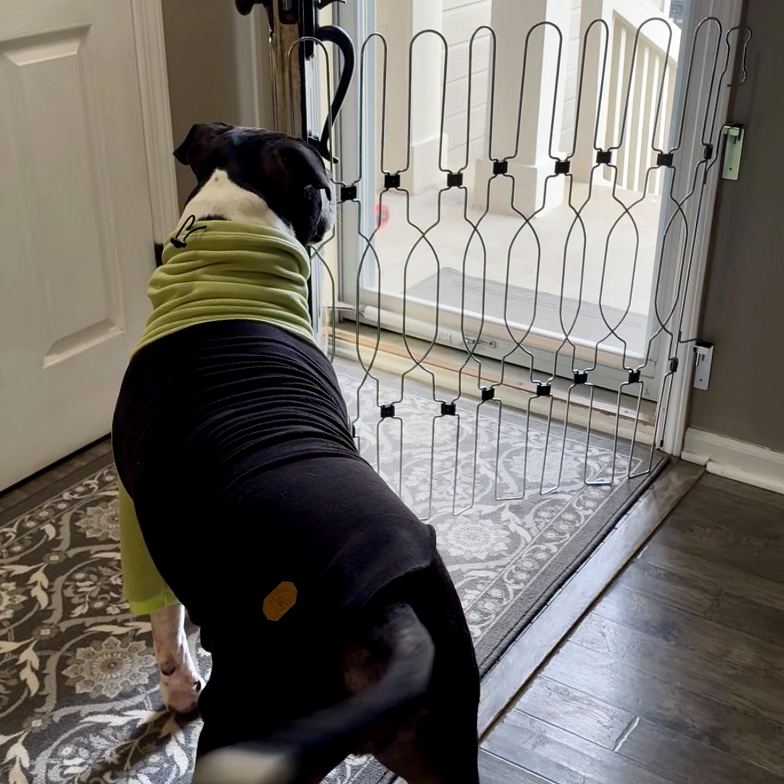 Adjustable Retractable Door Barrier for Front Door, Stairs, Hallways & Indoor Use