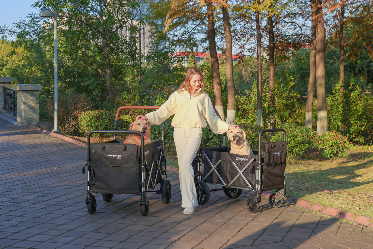 Explore our dog stroller wagons, thoughtfully designed for large dogs, senior dogs, injured pets, and multi-dog families.