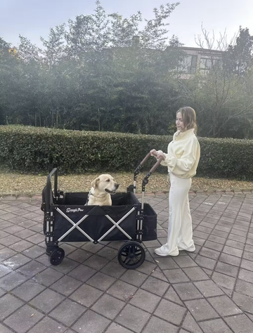 We Can Enjoy Our Walks Again with stridemate pro dog stroller