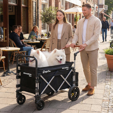Stroller Wagon Max being used for a dog during a city walk
